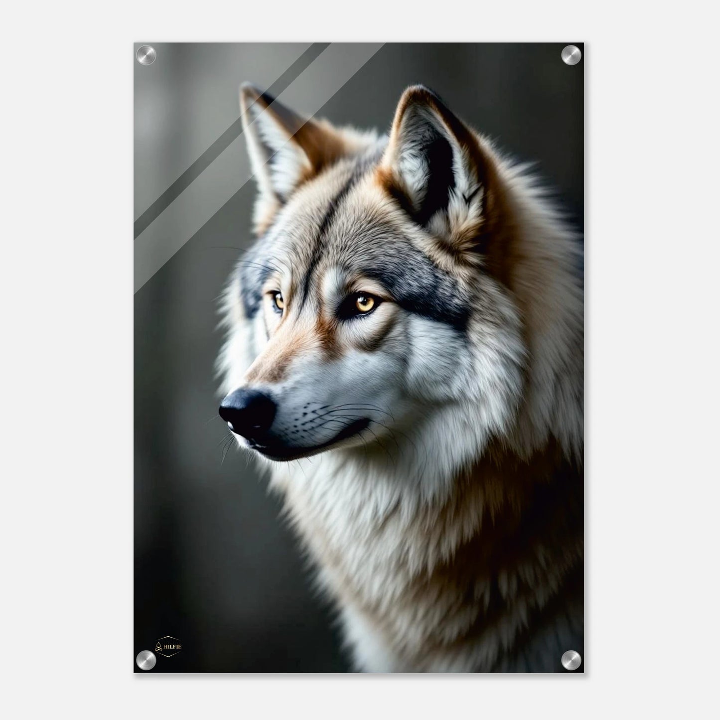 Wolf wanddecoratie plexiglas 50x70cm premium kunst woonkamer mystieke uitstraling