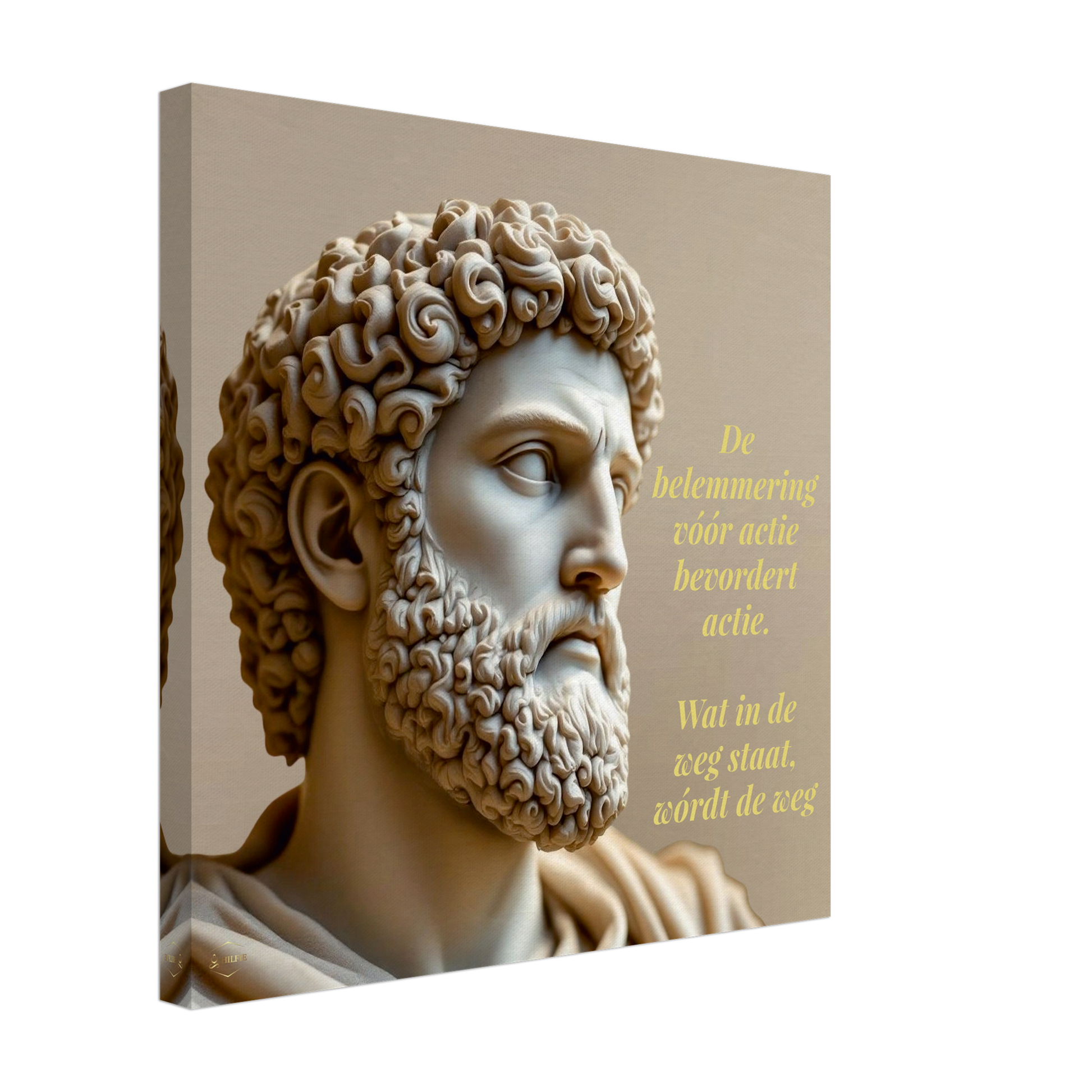 Meditations quote canvas – Marcus Aurelius poster 40x40cm