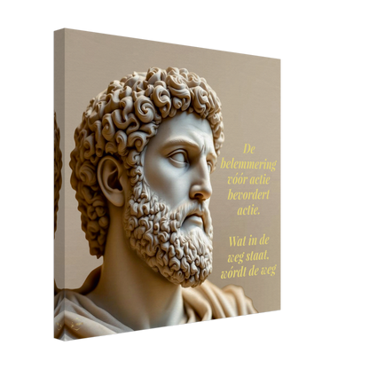 Meditations quote canvas – Marcus Aurelius poster 40x40cm