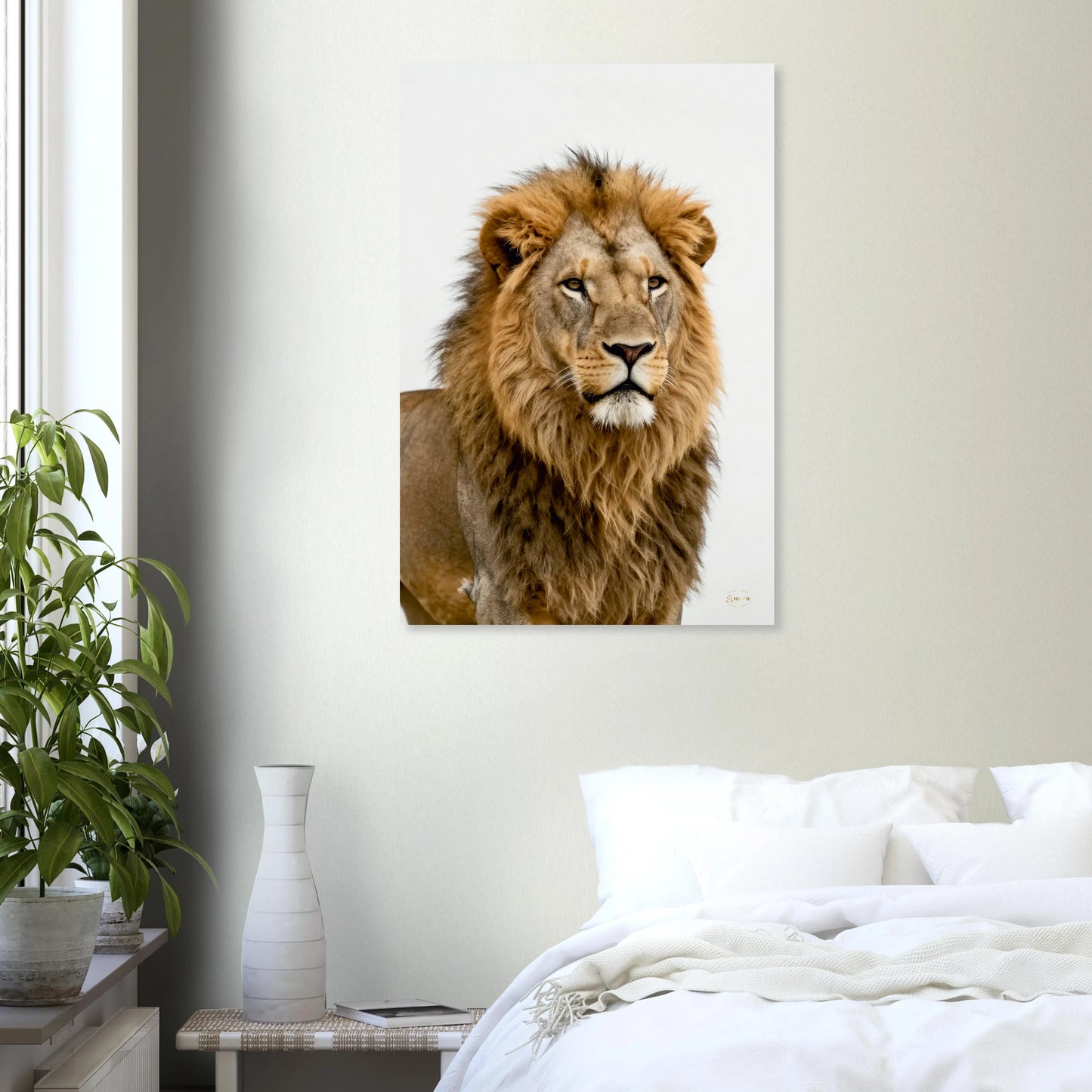 Stoïcijnse leeuw aluminium print 60x90cm woonkamer plaatsing wijsheid dibond filosofie kunst