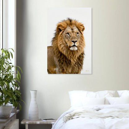Stoïcijnse leeuw aluminium print 60x90cm woonkamer plaatsing wijsheid dibond filosofie kunst