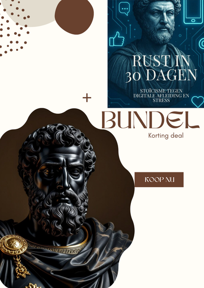 Marcus Aurelius stoïcisme pakket bundle canvas wanddecoratie e-boek meditations mindfulness