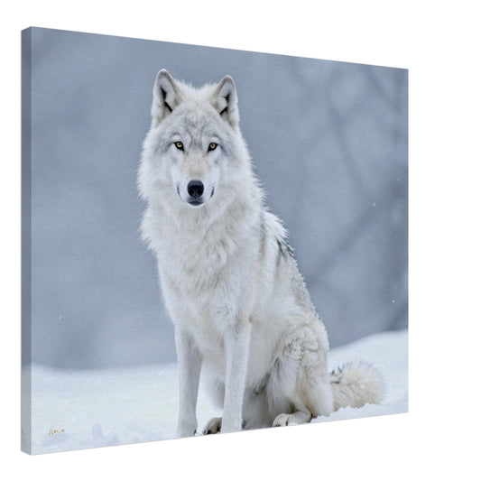 Witte wolf canvas 60x75cm arctisch sneeuwlandschap wanddecoratie woonkamer premium kunst