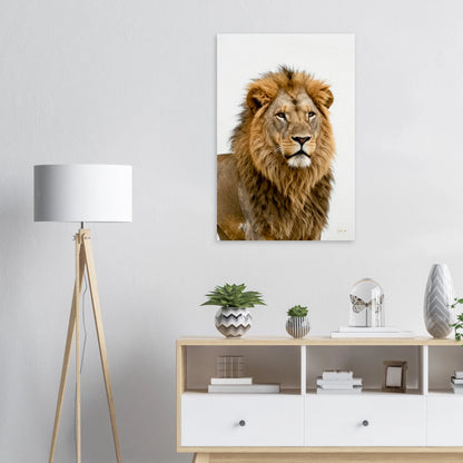 Leeuw aluminium print 60x90cm detail stoïcijnse leeuw wijsheid dibond premium wanddecoratie filosofie